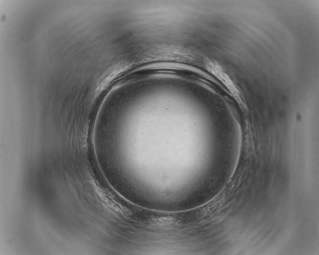 X0000087390058200704201252