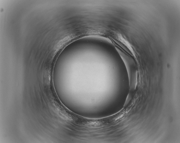 X0000087390059200704201252