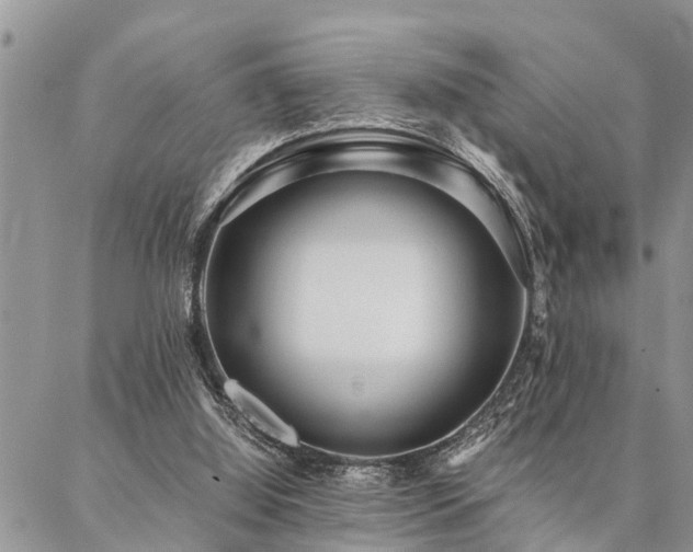 X0000087390060200704201253