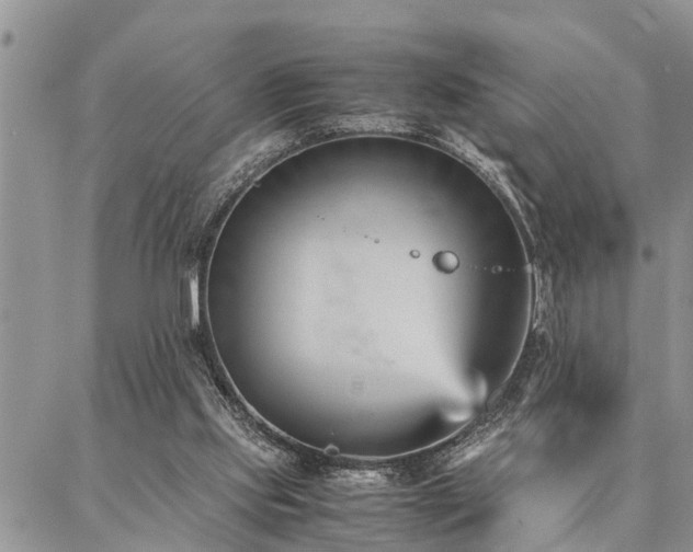 X0000087390061200704201253