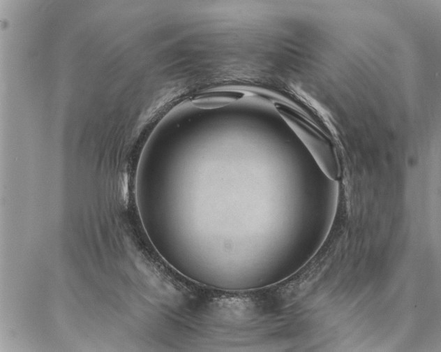 X0000087390067200704201253