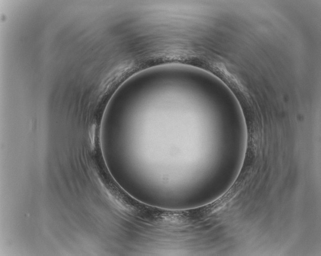 X0000087390070200704201253