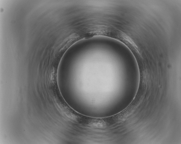 X0000087390073200704201253