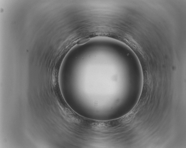 X0000087390074200704201253