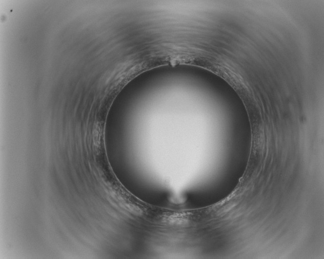 X0000087390078200704201253