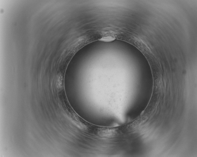 X0000087390081200704201253