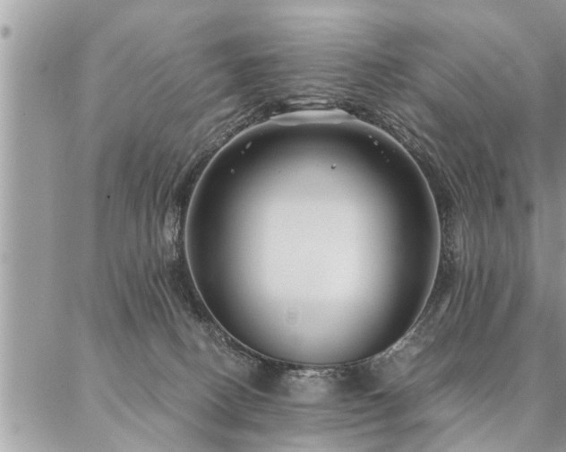 X0000087390082200704201253