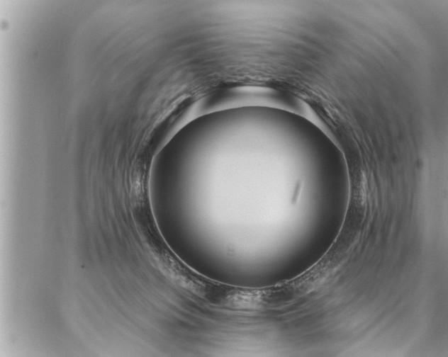 X0000087390084200704201253