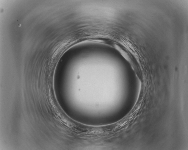 X0000087390097200704201252