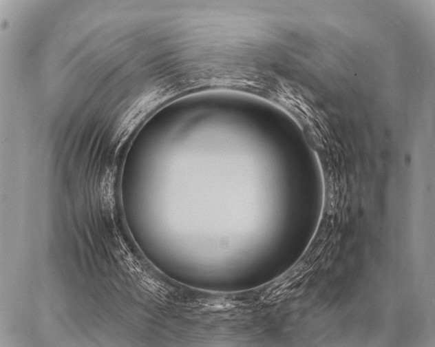 X0000087390098200704201252