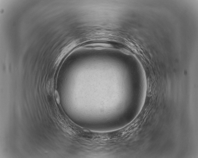 X0000087390099200704201252