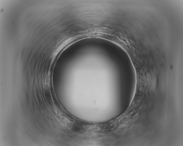 X0000087390100200704201252