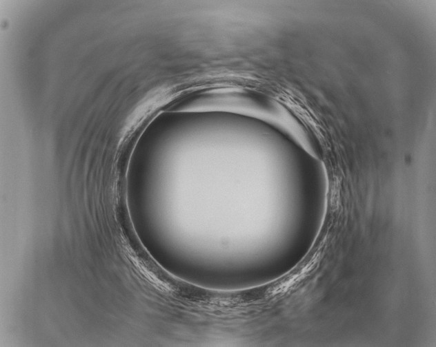 X0000087390101200704201252