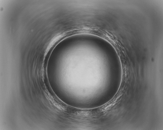 X0000087390102200704201252