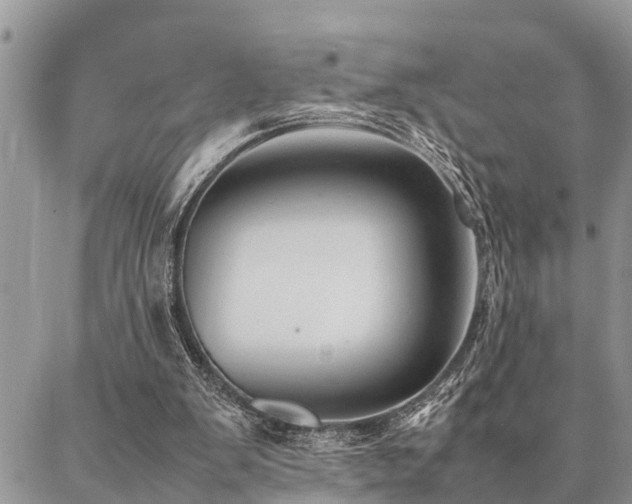 X0000087390103200704201252