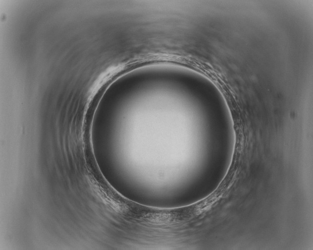 X0000087390104200704201252