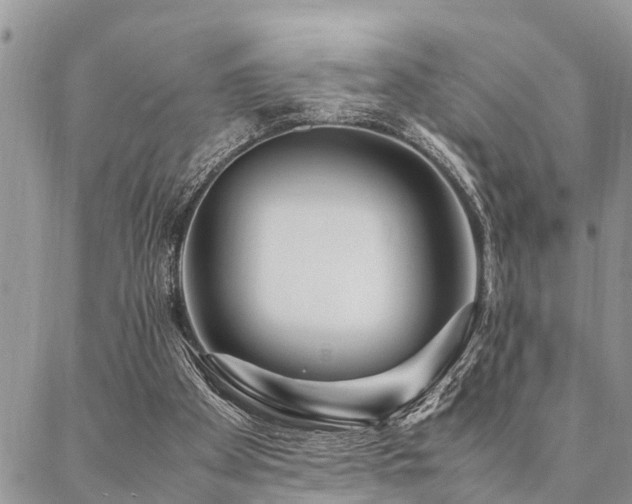 X0000087390105200704201252