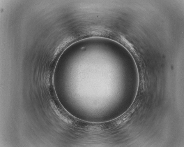 X0000087390106200704201252