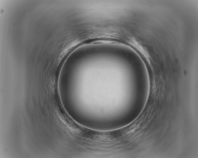 X0000087390107200704201252