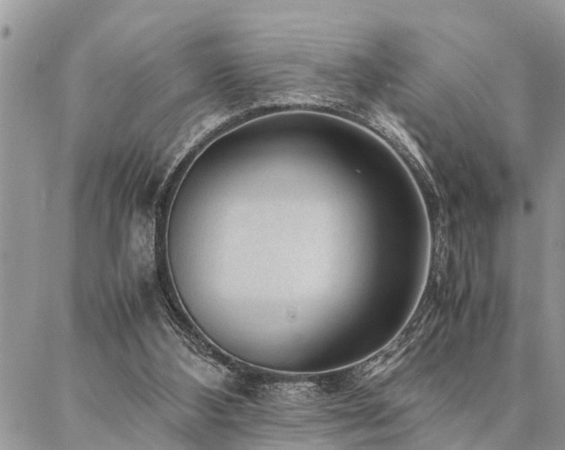 X0000087390108200704201252