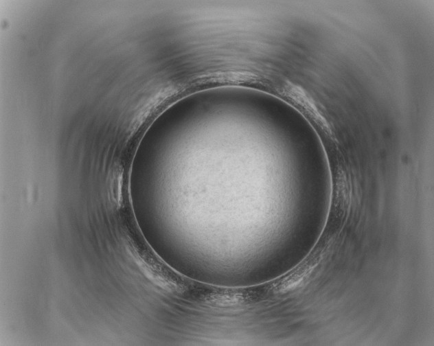 X0000087390110200704201252