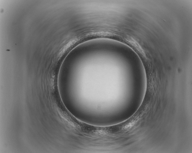 X0000087390111200704201252