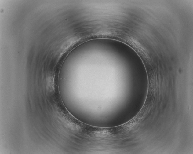 X0000087390112200704201252