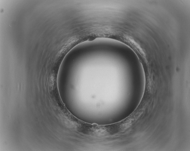 X0000087390113200704201252