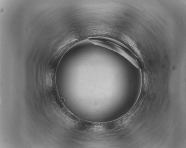 X0000087390114200704201252