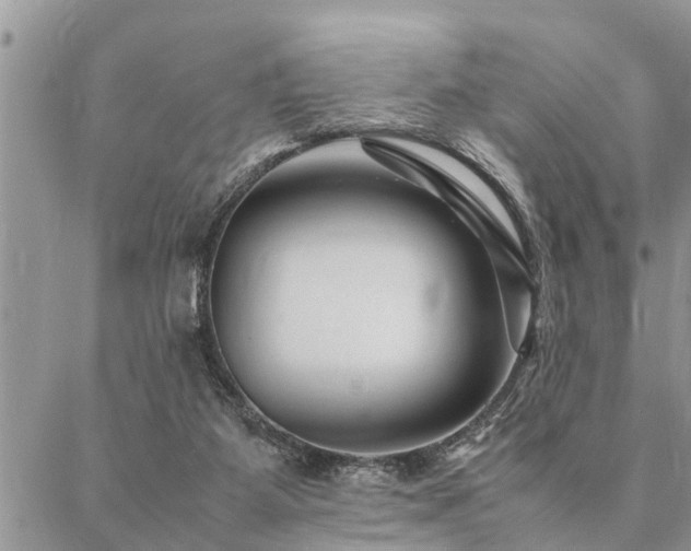 X0000087390115200704201252