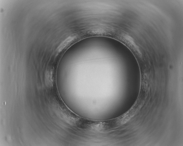 X0000087390116200704201252