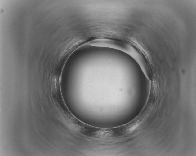 X0000087390117200704201252