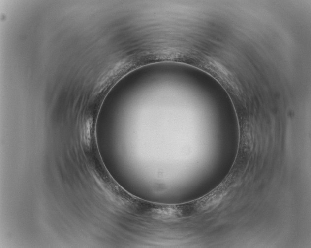 X0000087390118200704201252