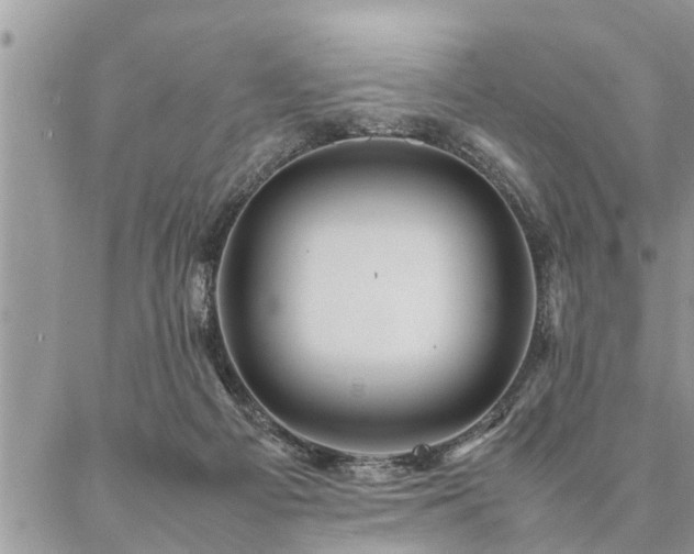 X0000087390121200704201252