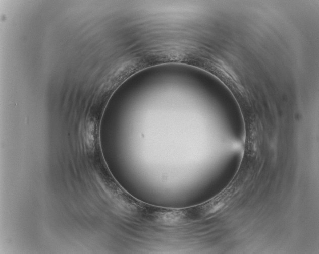 X0000087390122200704201252