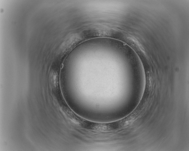 X0000087390123200704201252