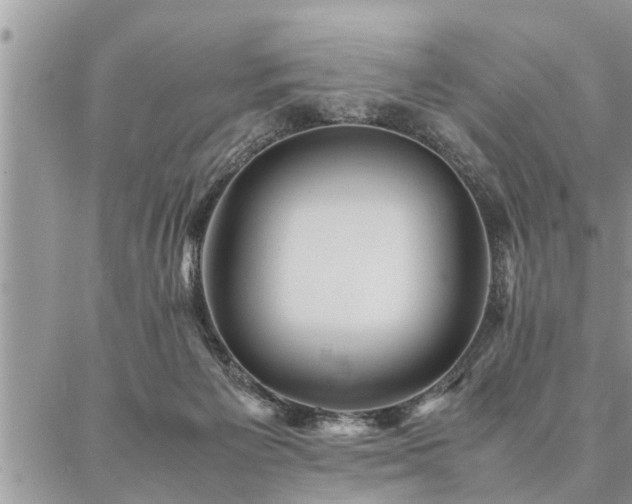 X0000087390125200704201252