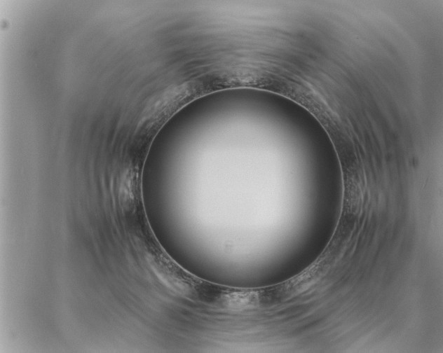 X0000087390126200704201252