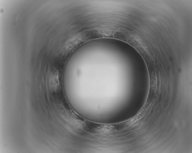 X0000087390128200704201252