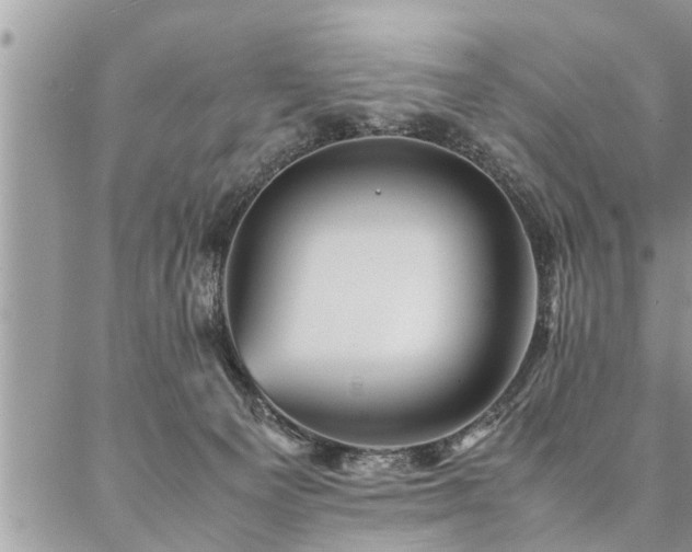 X0000087390129200704201252