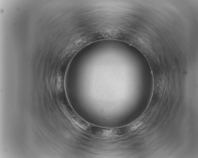 X0000087390130200704201252