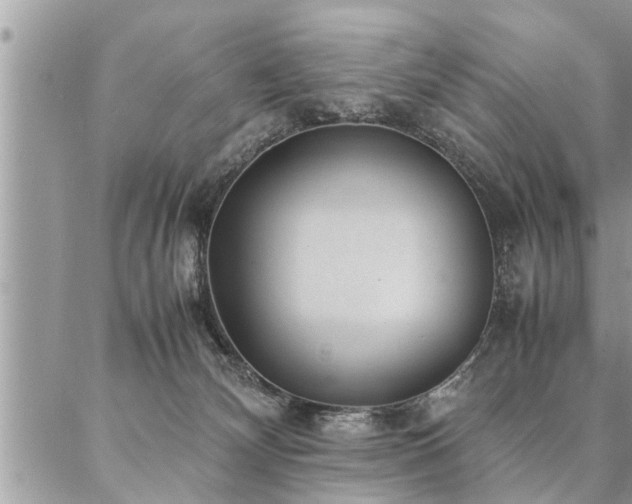 X0000087390132200704201252