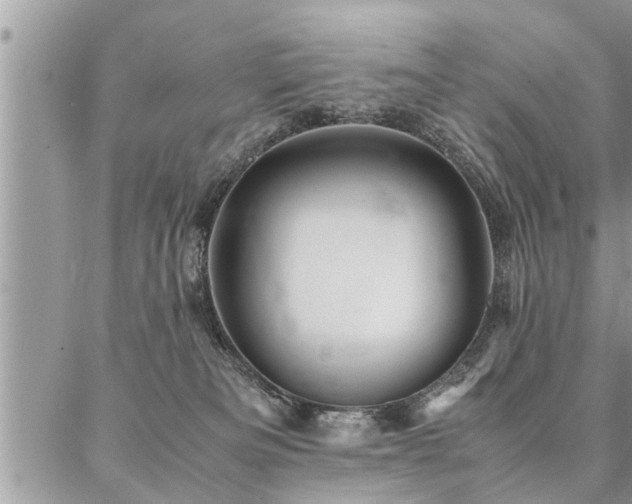 X0000087390133200704201252