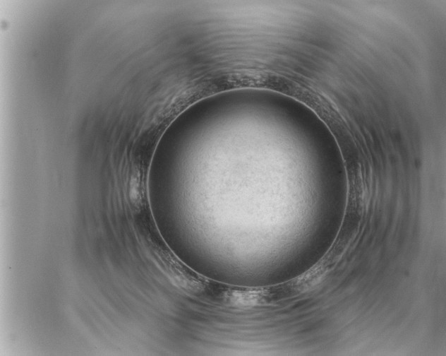 X0000087390134200704201252