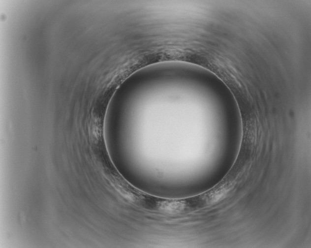 X0000087390135200704201252