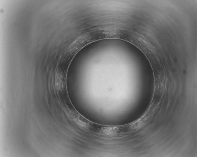 X0000087390136200704201252