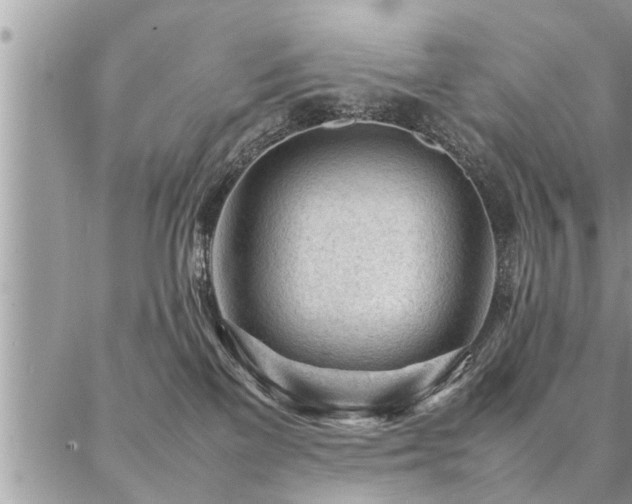 X0000087390137200704201252