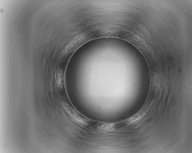 X0000087390138200704201252