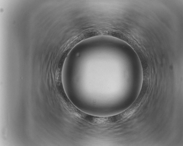 X0000087390139200704201252