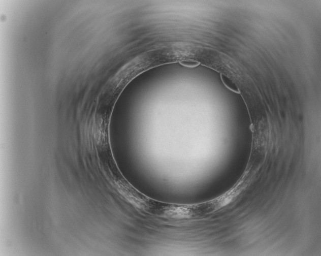 X0000087390140200704201252